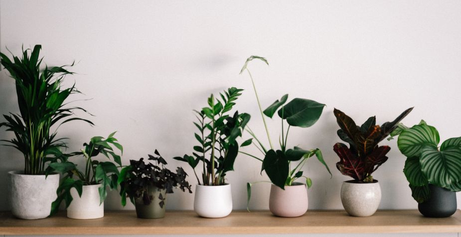 Autoriego inteligente de plantas mediante IoT, HomeAssistant, OpenWeatherMap y NodeRed